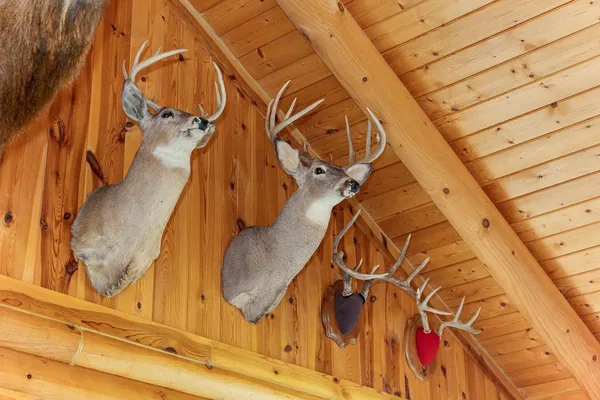 $3,400,000 | 8580 Roelke Road, Blue Mounds, WI 53517