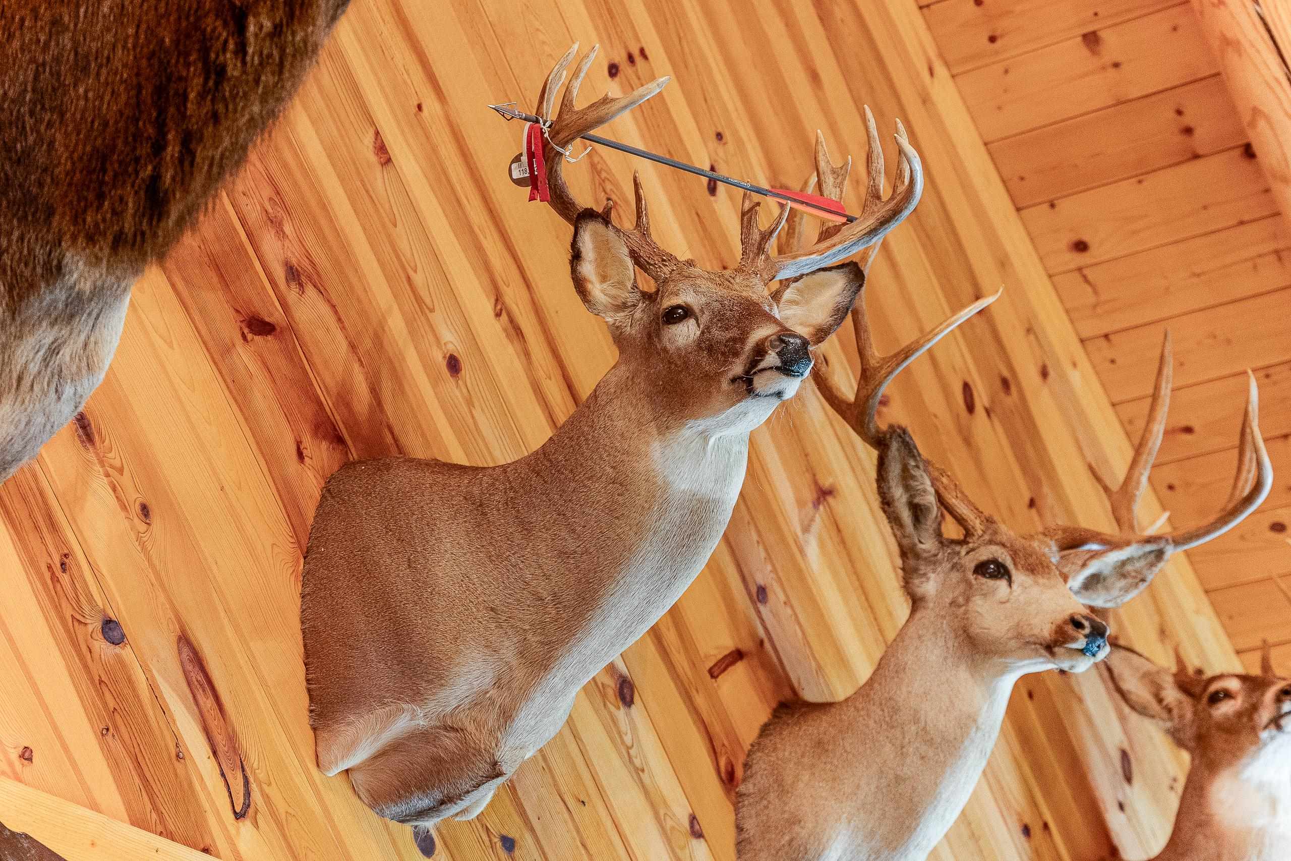 8580 Roelke Road Blue Mounds, WI 53517 - Photo 73 of 82