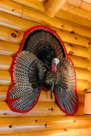 $3,400,000 | 8580 Roelke Road, Blue Mounds, WI 53517