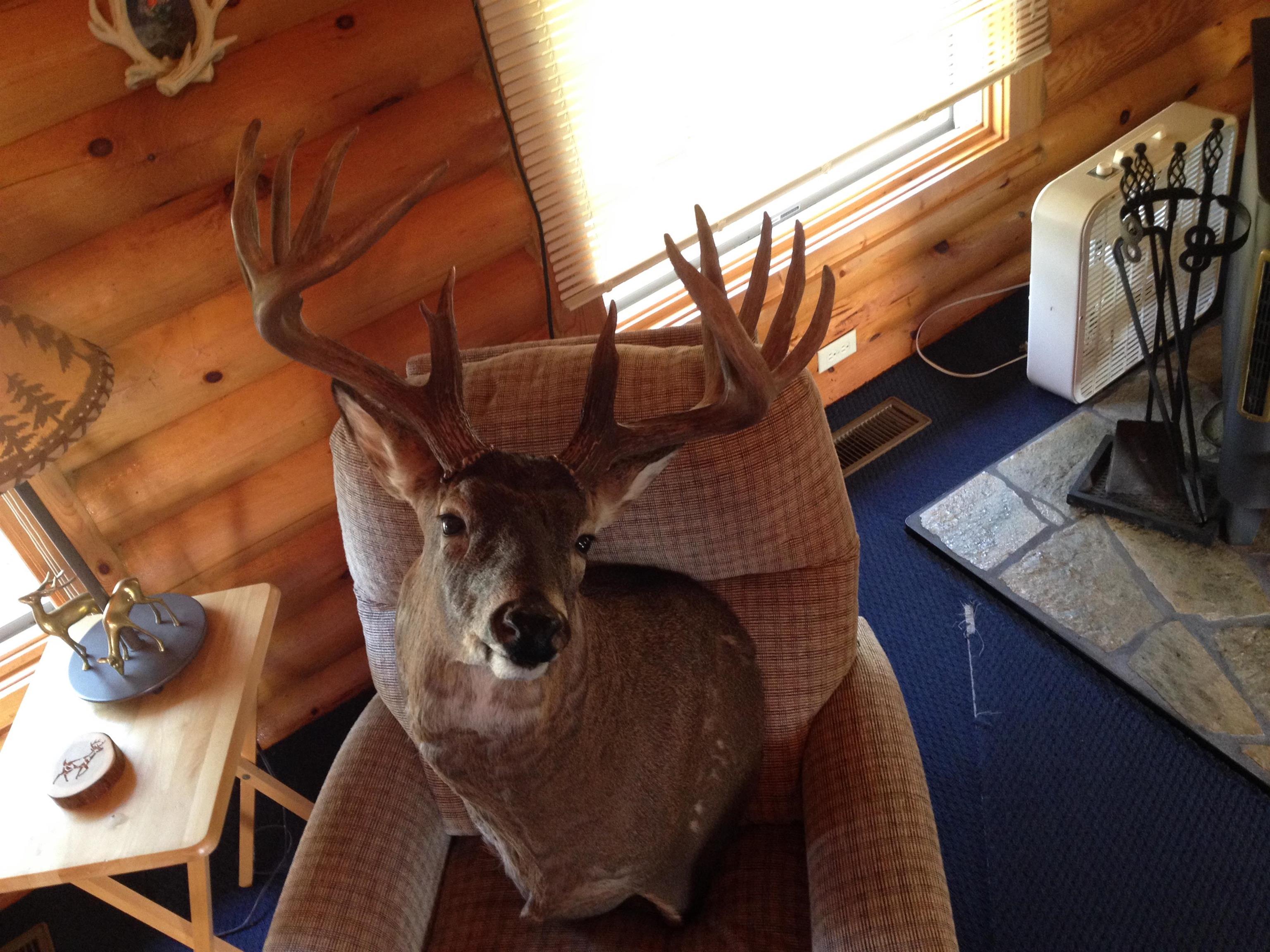 8580 Roelke Road Blue Mounds, WI 53517 - Photo 82 of 82
