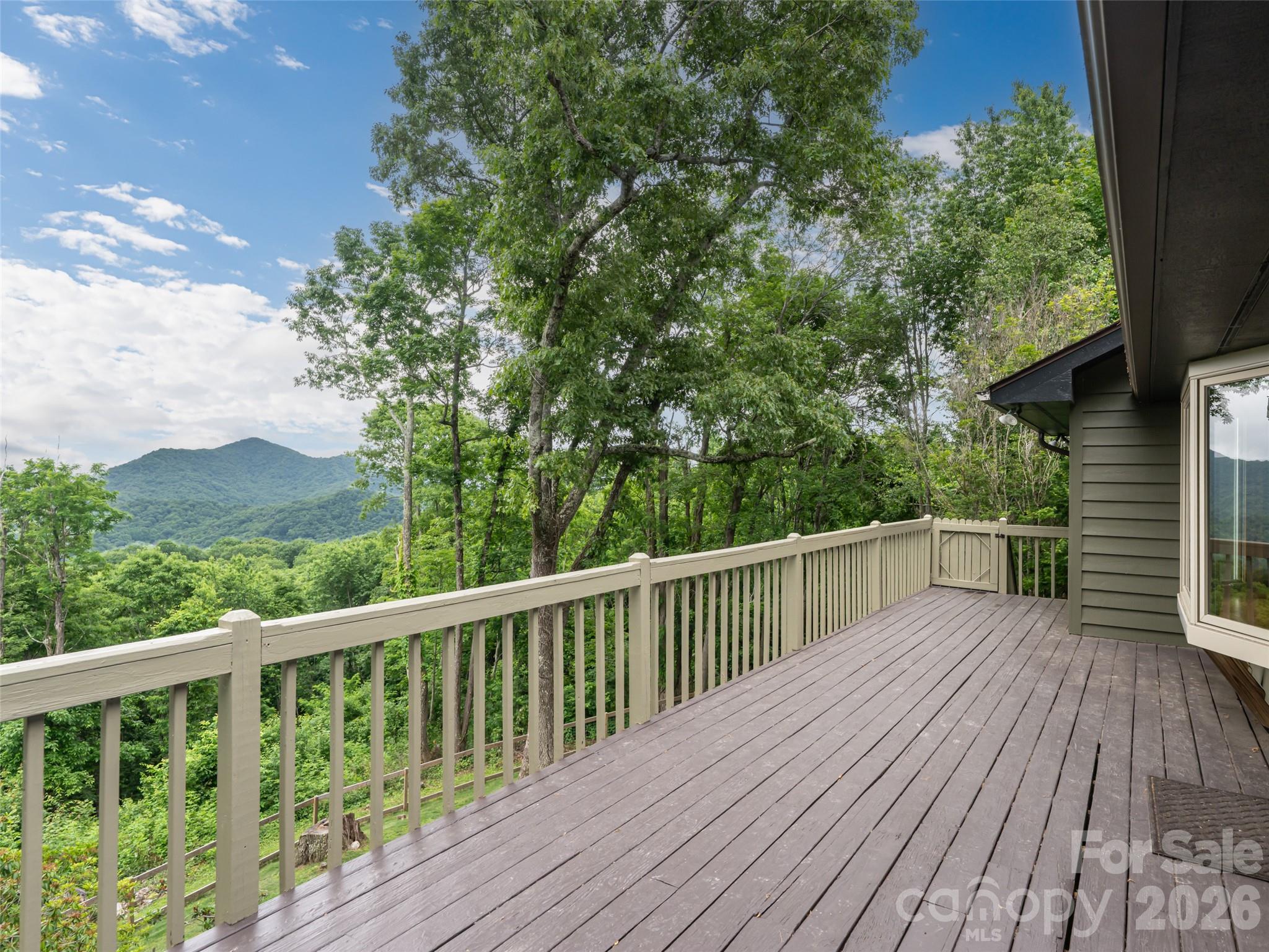 243 Pioneer Ridge Road Canton, NC 28716 - Photo 33 of 47