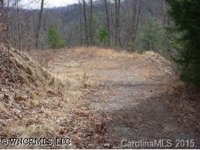 0 Mopey Maple Road Waynesville, NC 28785 - Photo 3 of 6 a view of a dry yard with trees