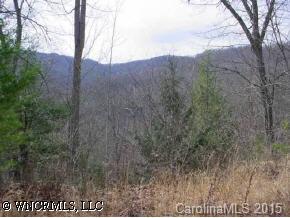 0 Mopey Maple Road Waynesville, NC 28785 - Photo 5 of 6 a view of outdoor space and yard