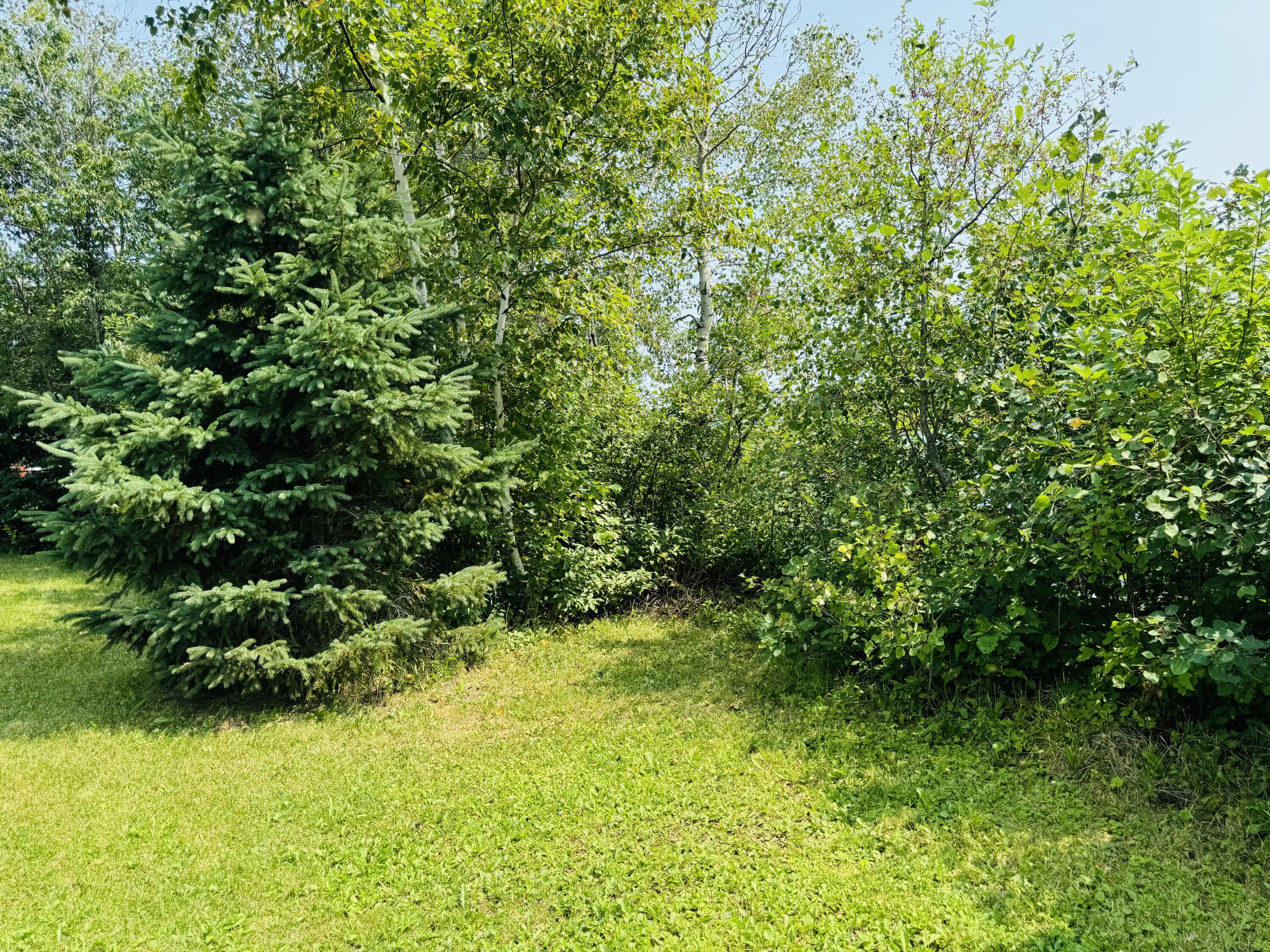 118 Sinclair Road St. David, ME 04773 - Photo 12 of 39 IMG_4865