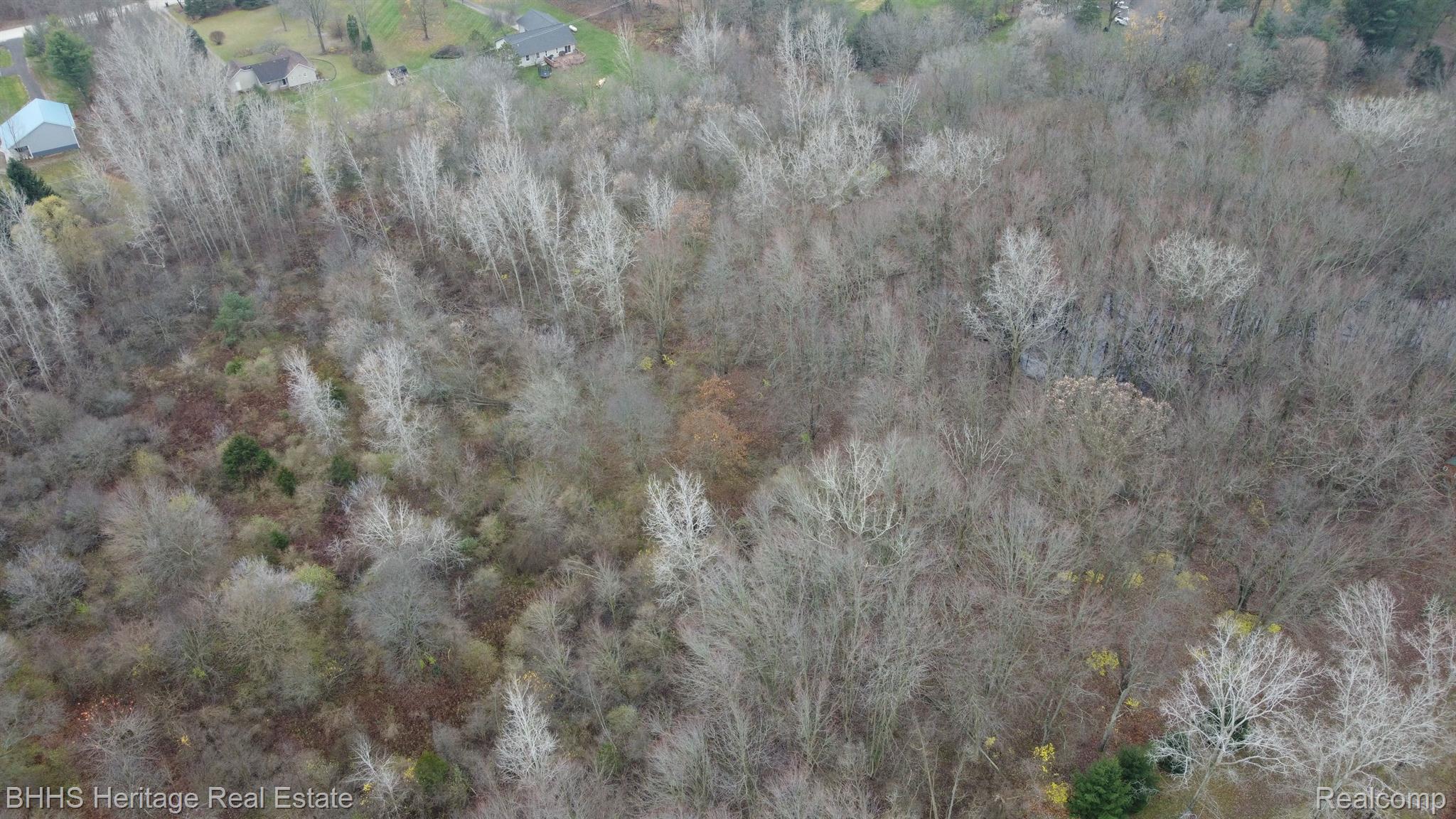 5904 West Allen Road Fowlerville, MI 48836 - Photo 41 of 44 Arial Of Property