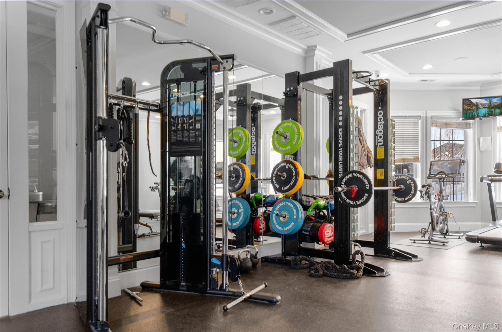 422 Highridge Court, Unit 422 Peekskill, NY 10566 - Photo 40 of 45 A newly renovated, state-of-the-art strength training area featuring premium equipment, including a full cable system and squat rack, complemented by mirrored walls that enhance both space and functionality—perfect for a complete, high-performance workout.