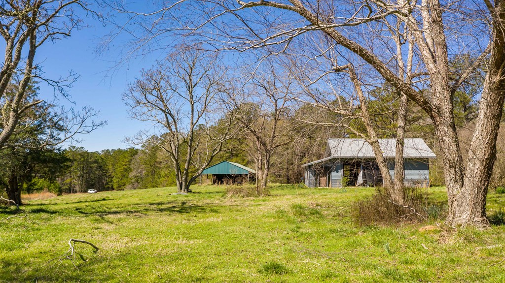 8435 Cartledge Road Box Springs, GA 31801 - Photo 96 of 100 Gallery Image 96