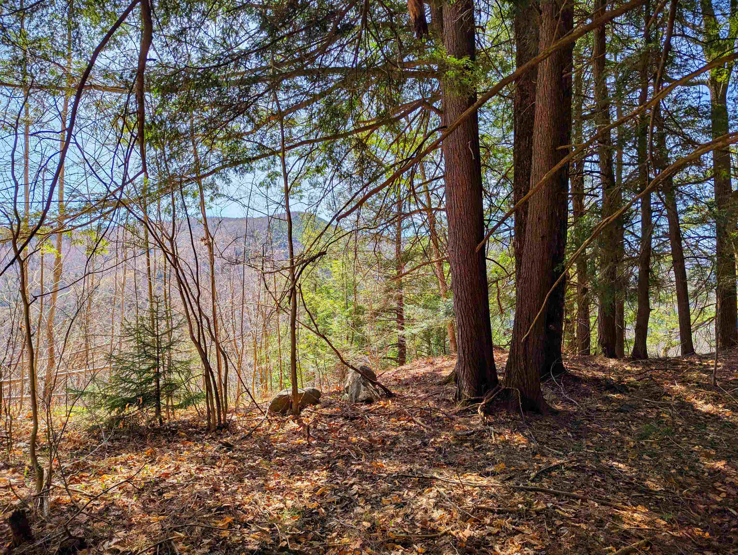 Vulture Mountain Road Stockbridge, VT 05772 - Photo 10 of 20