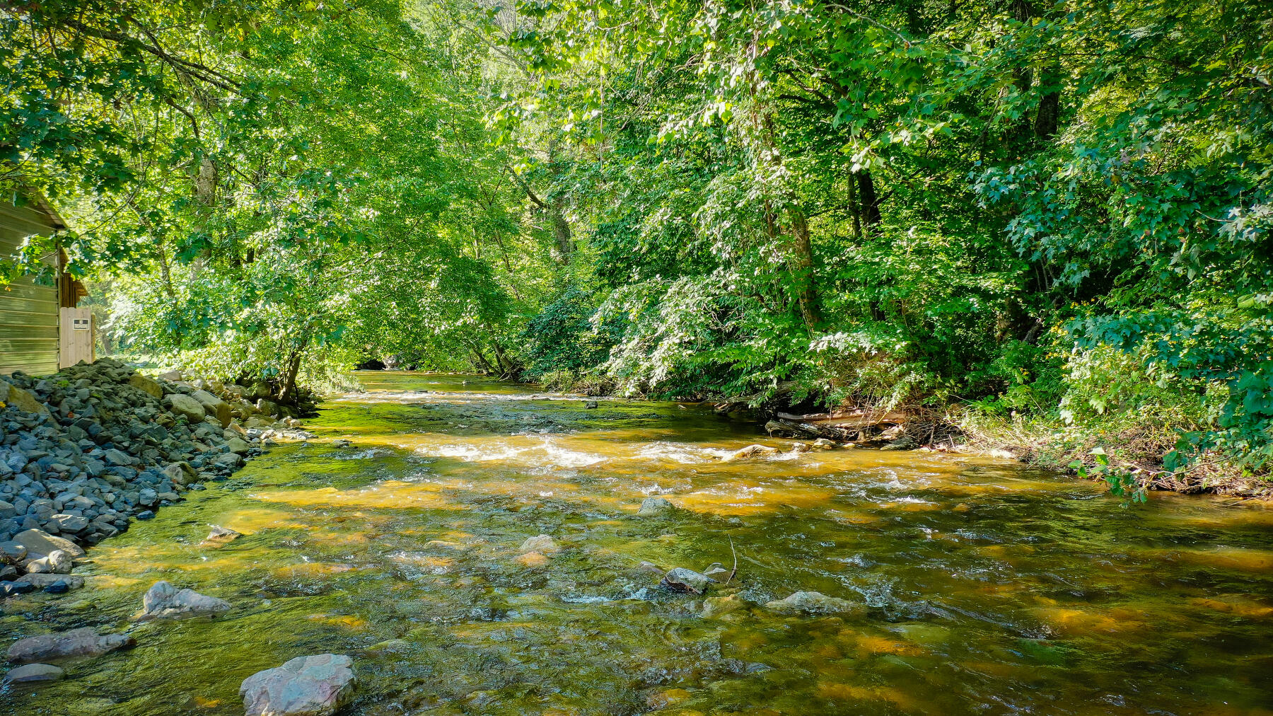625 Swimming Pool Road Hampton, TN 37658 - Photo 2 of 30 Backyard Laurel Fork Creek
