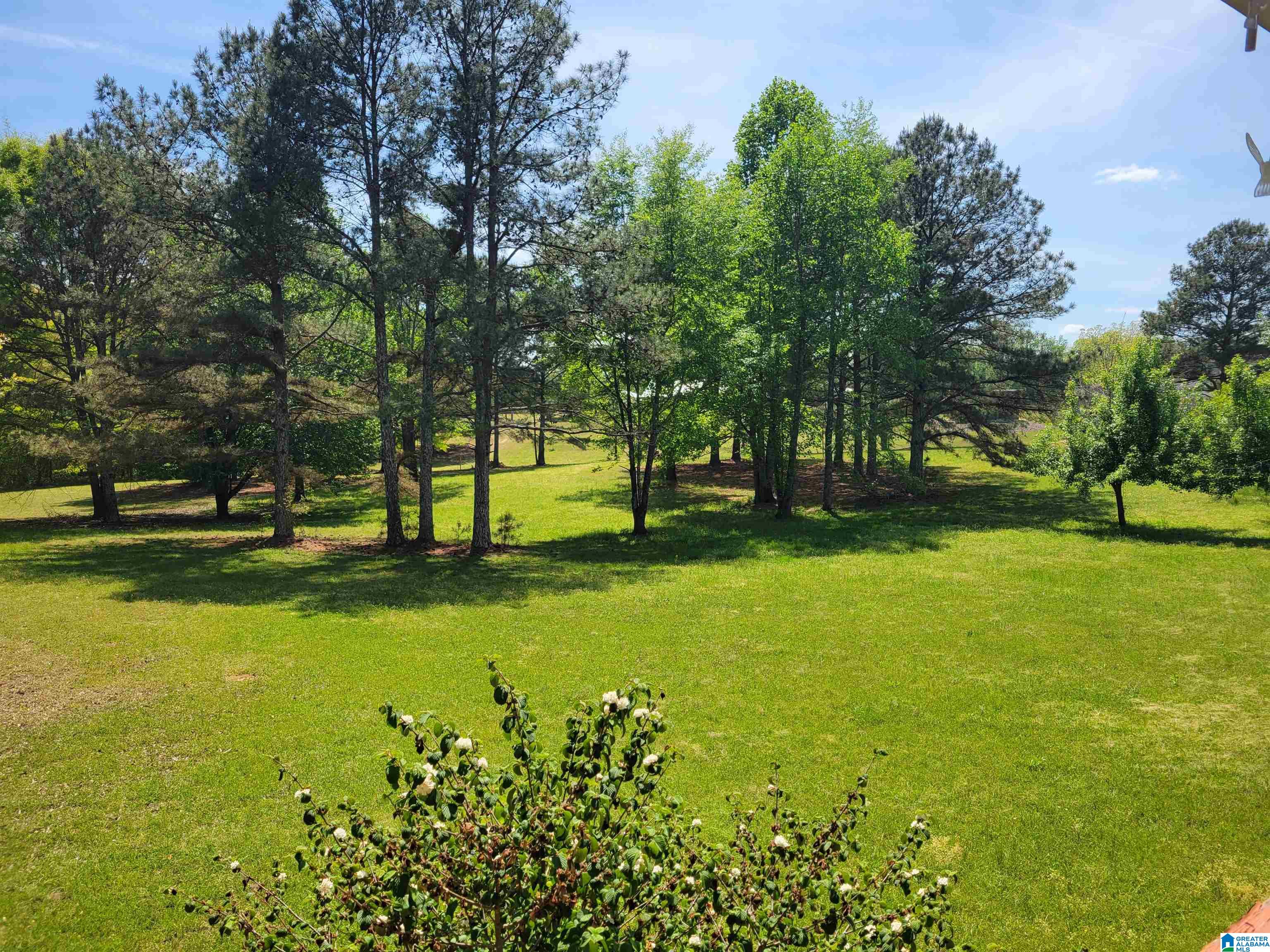 9050 County Road 222 Logan, AL 35098 - Photo 25 of 31
