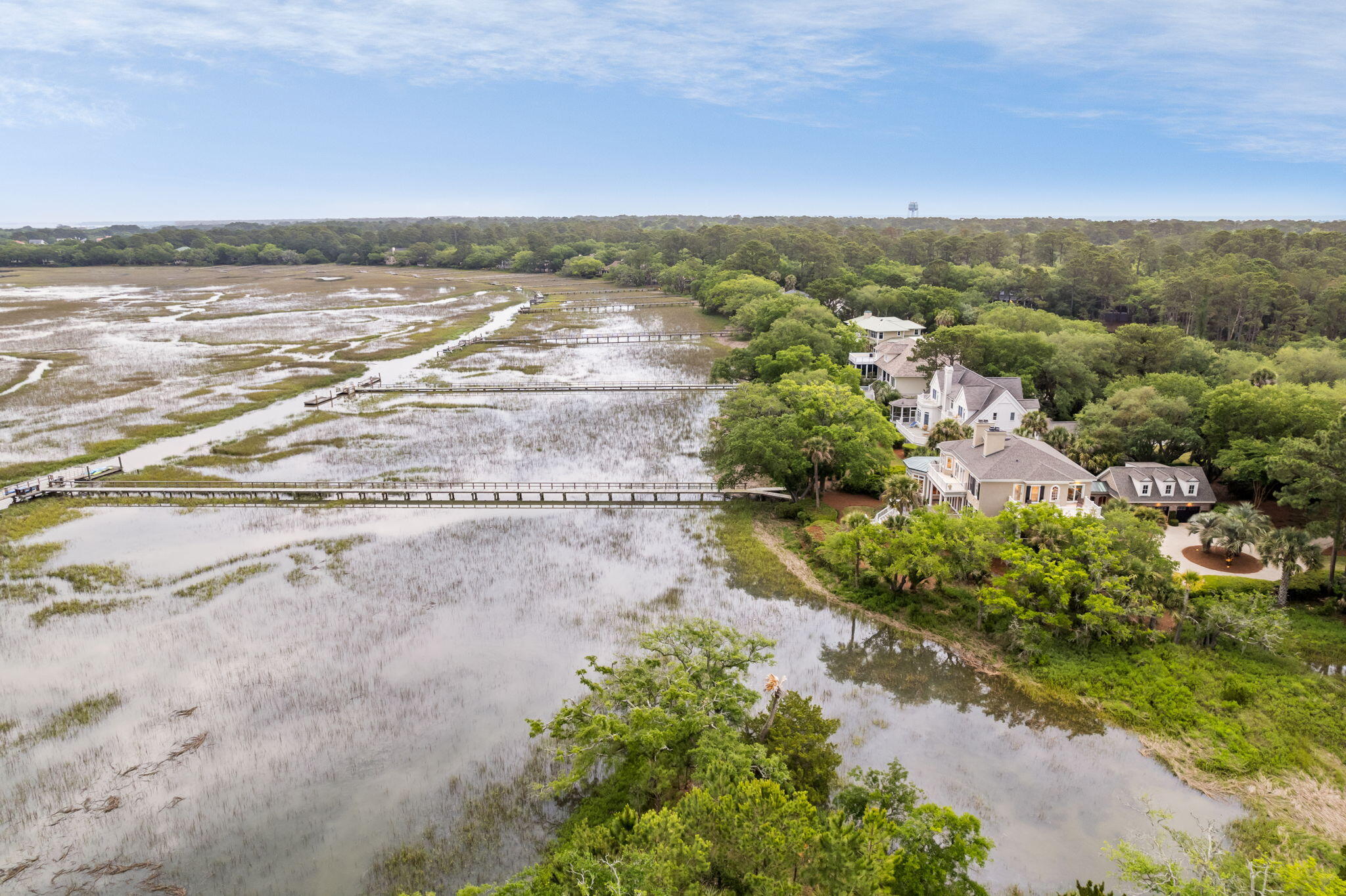 2600 Jenkins Point Road Seabrook Island, SC 29455 - Photo 58 of 100 62-web-or-mls-Coastal RE Photo 2600 Jenk