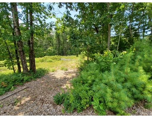 320 West Acton Road Stow, MA 01775 - Photo 36 of 39 a view of a yard with plants and large trees