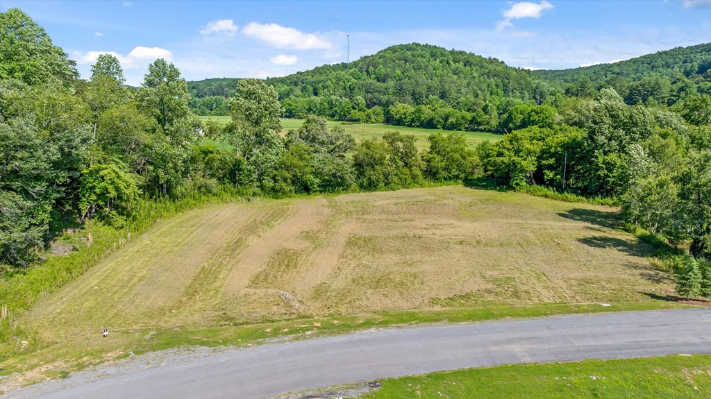 Lot 1 Ridge Drive Morganton, GA 30560 - Photo 10 of 21