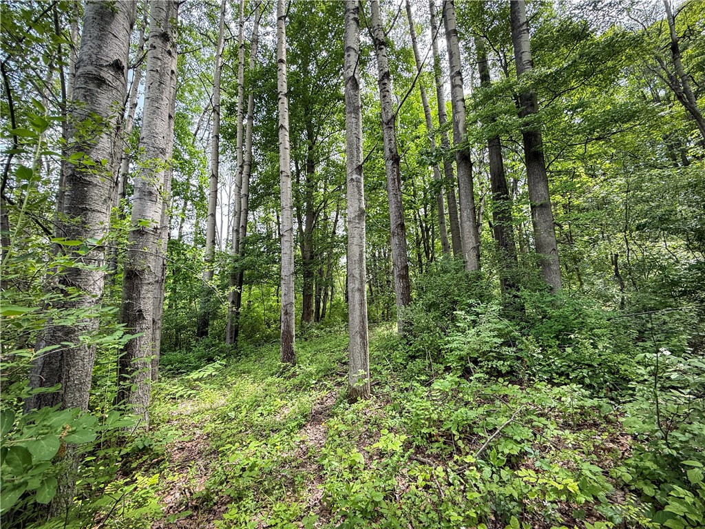 5401 Old Bath Road Barrington, NY 14837 - Photo 25 of 50