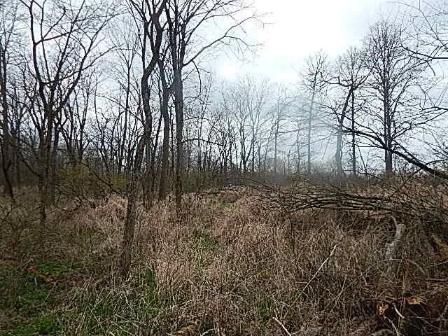 $475,000 | 4600 11 MIle Road, Burlington, MI 49029