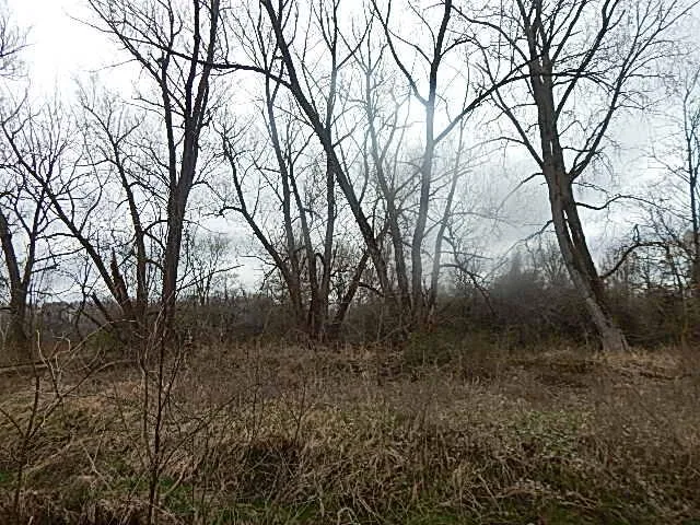 $475,000 | 4600 11 MIle Road, Burlington, MI 49029