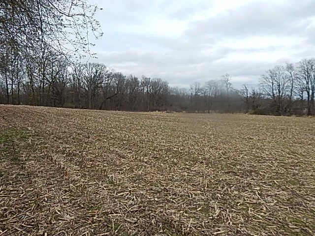 $475,000 | 4600 11 MIle Road, Burlington, MI 49029