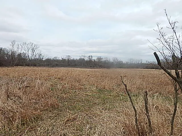 $475,000 | 4600 11 MIle Road, Burlington, MI 49029