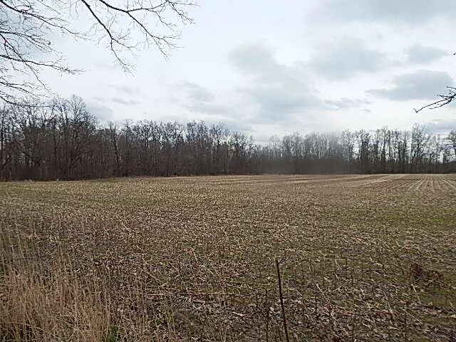 $475,000 | 4600 11 MIle Road, Burlington, MI 49029