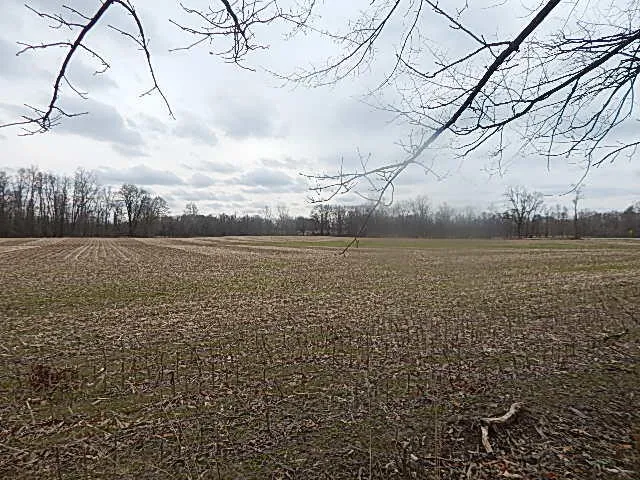 $475,000 | 4600 11 MIle Road, Burlington, MI 49029