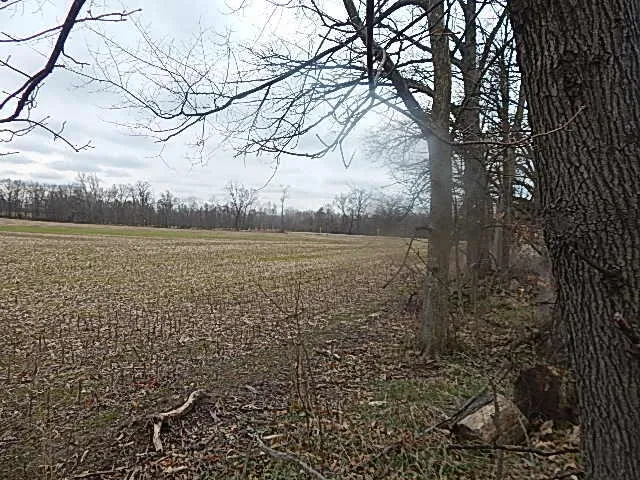 $475,000 | 4600 11 MIle Road, Burlington, MI 49029