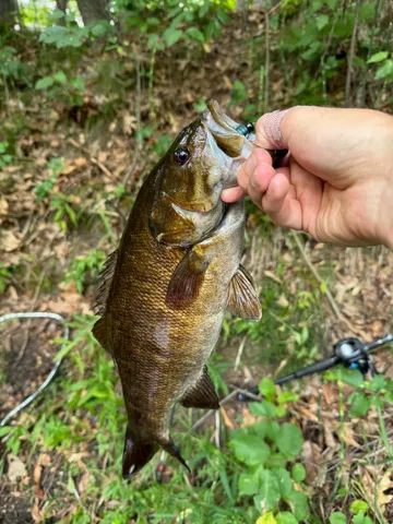 $475,000 | 3944 South Brenlor Drive, Hesperia, MI 49421