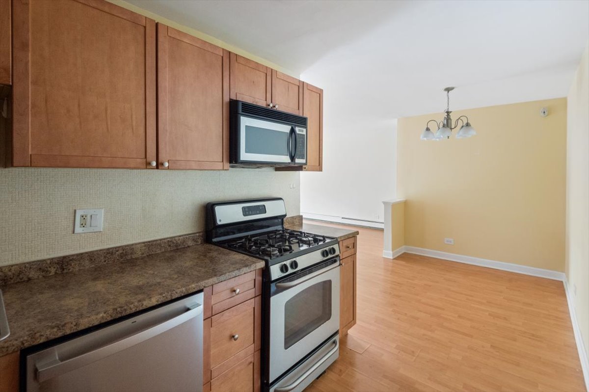 8232 Niles Center Road, Unit 214 Skokie, IL 60077 - Photo 13 of 20