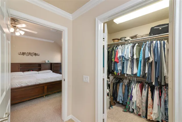 a bed room with a bed and a walk in closet