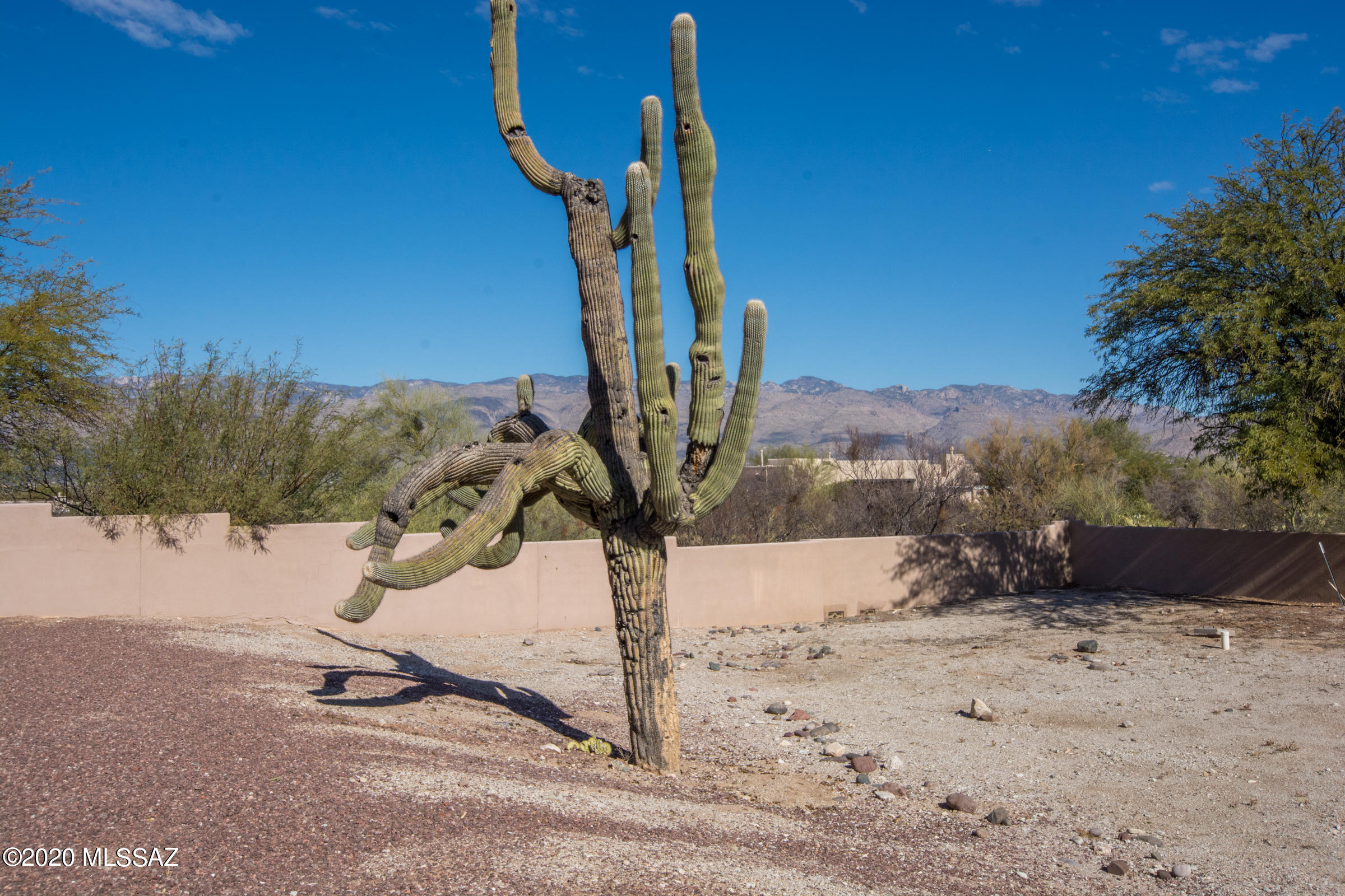 596 North Arizona Estates Road Tucson, AZ 85748 - Photo 41 of 47 Gallery Image 41