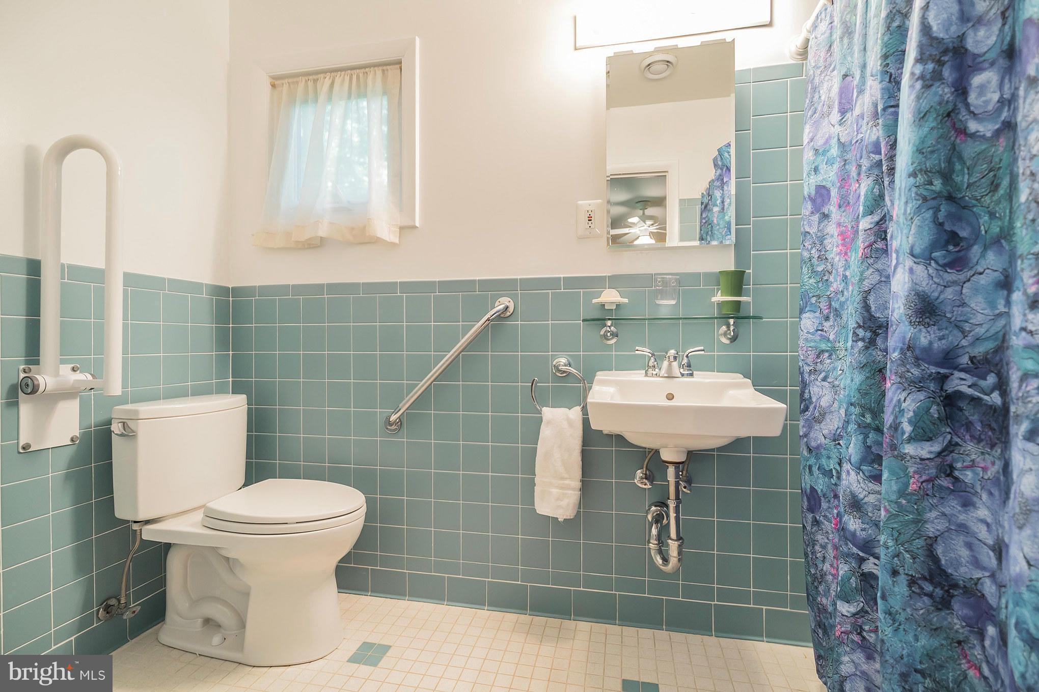10217 Lloyd Road Potomac, MD 20854 - Photo 11 of 28 Accessible Master Bath with Roll-In Shower