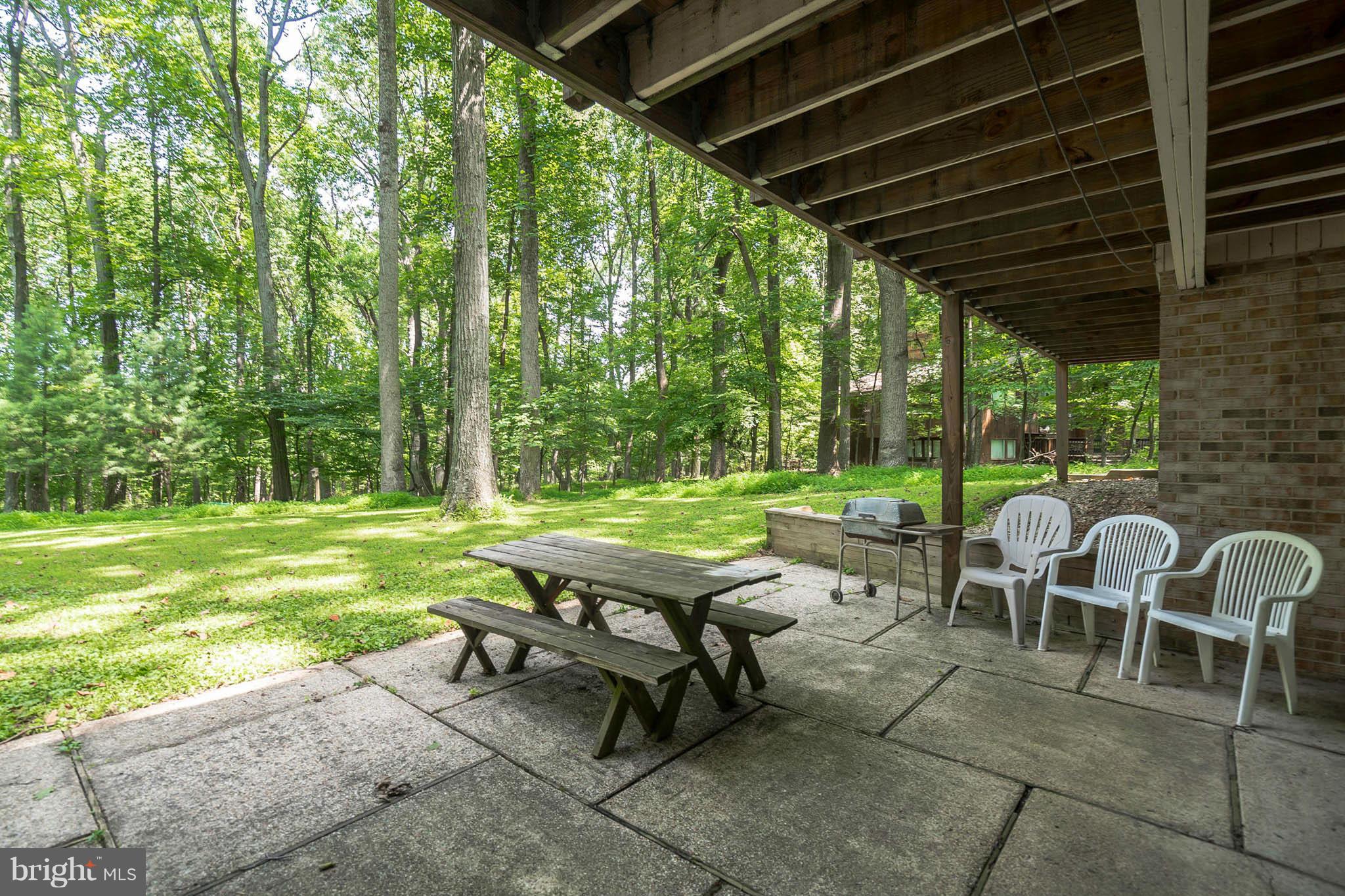 10217 Lloyd Road Potomac, MD 20854 - Photo 25 of 28 Flagstone Patio