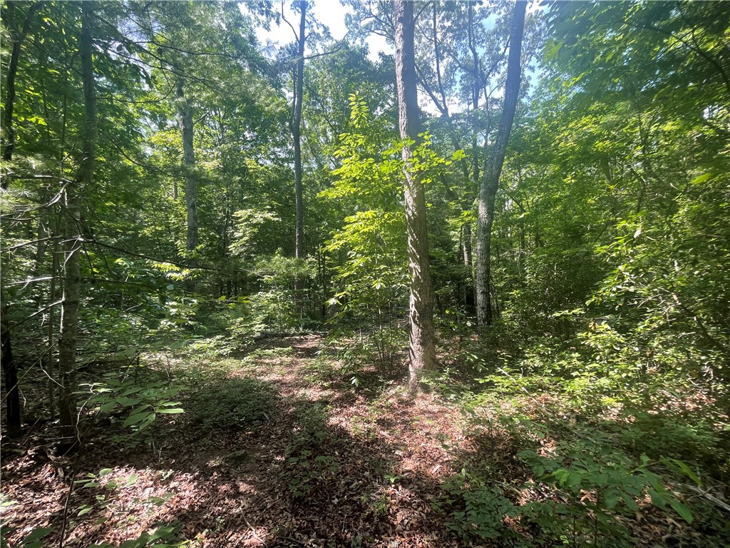 260 Cassidy Bridge Road Mountain Rest, SC 29664 - Photo 20 of 41 Gallery Image 20