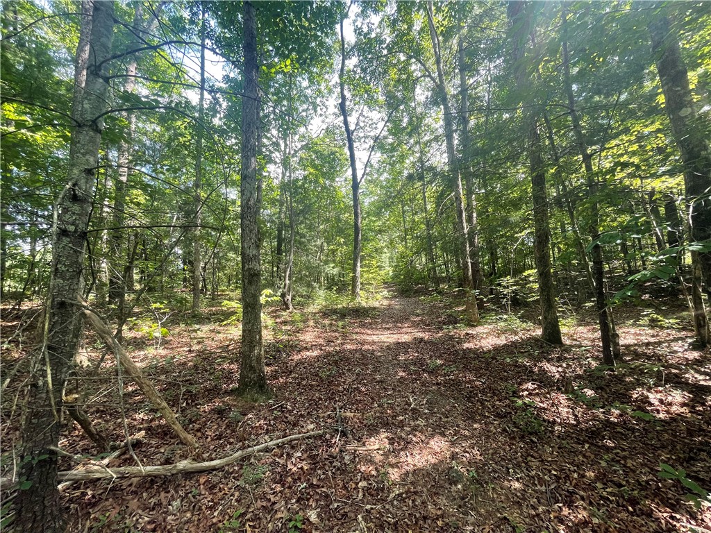 260 Cassidy Bridge Road Mountain Rest, SC 29664 - Photo 23 of 41 Gallery Image 23