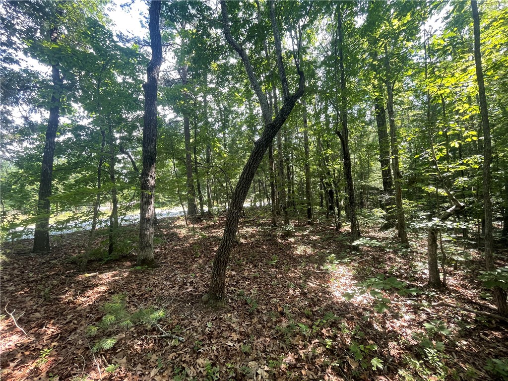 260 Cassidy Bridge Road Mountain Rest, SC 29664 - Photo 29 of 41 Gallery Image 29