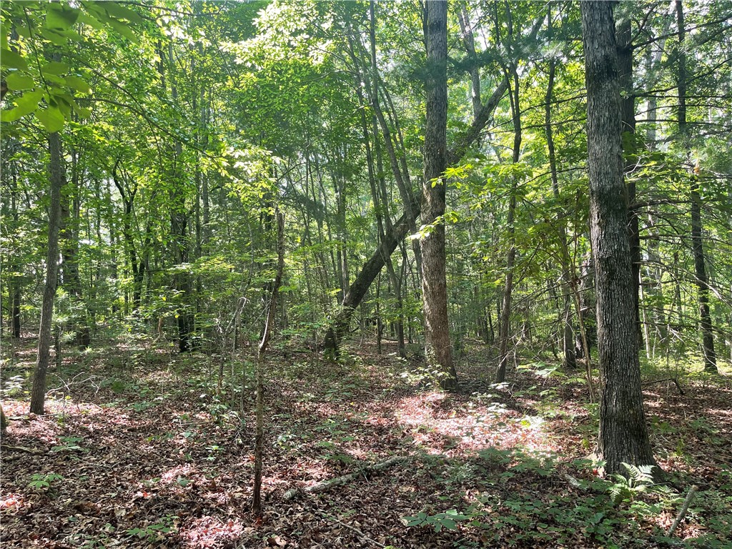 260 Cassidy Bridge Road Mountain Rest, SC 29664 - Photo 5 of 41 Gallery Image 5