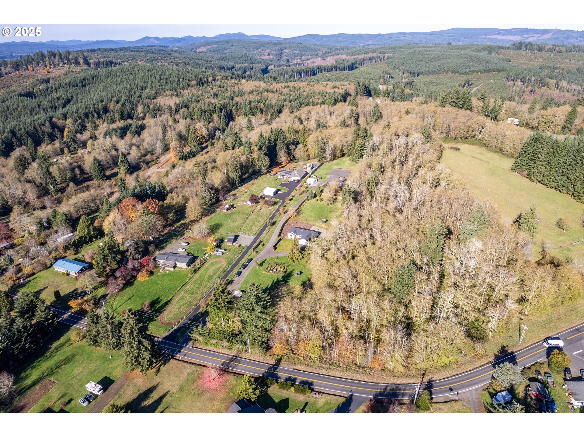 940 Stella Road Longview, WA 98632 - Photo 38 of 39 a view of a forest with mountains in the background
