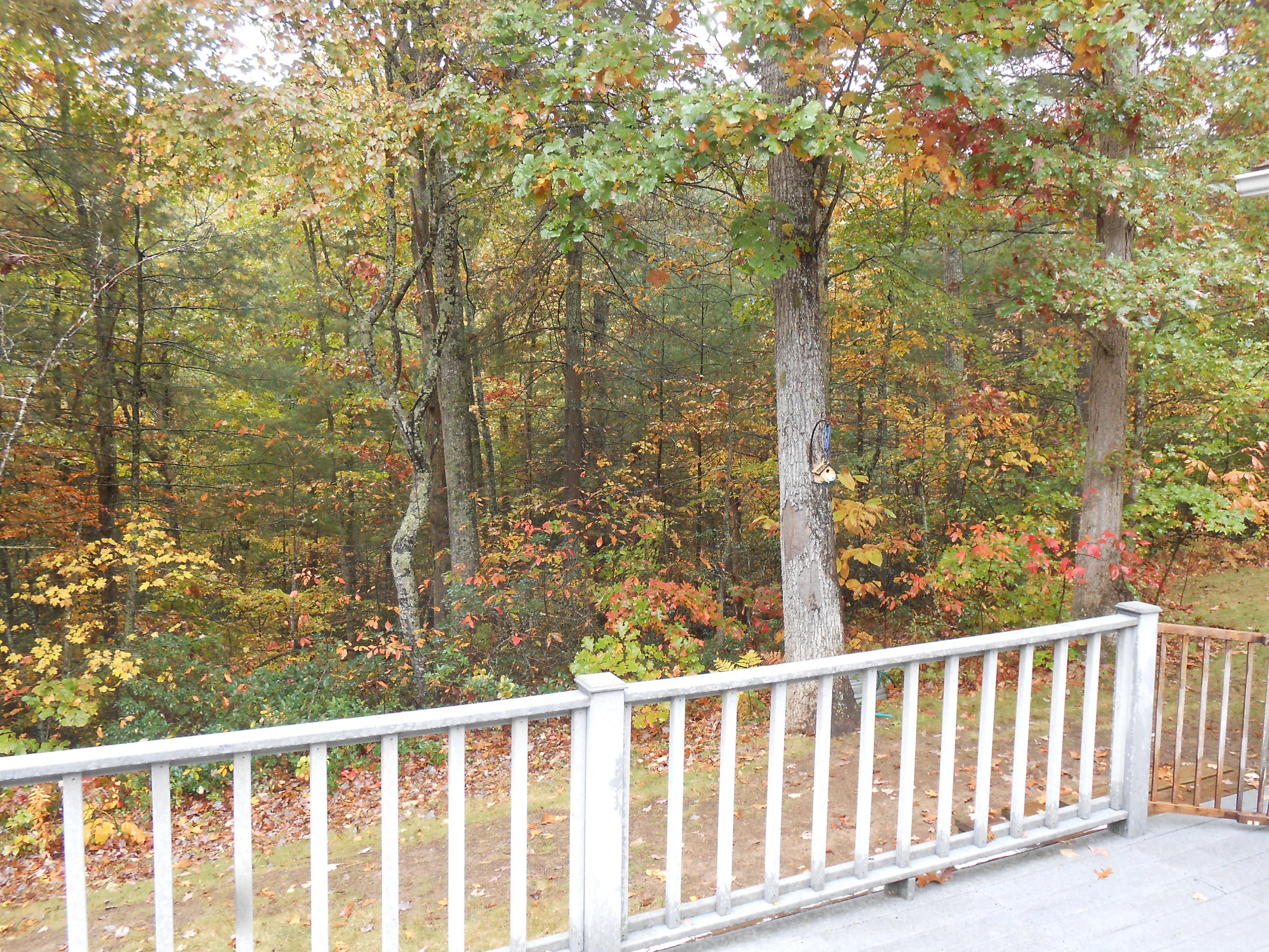 2222 Stone House Road Caldwell, WV 24925 - Photo 52 of 63 Gallery Image 52
