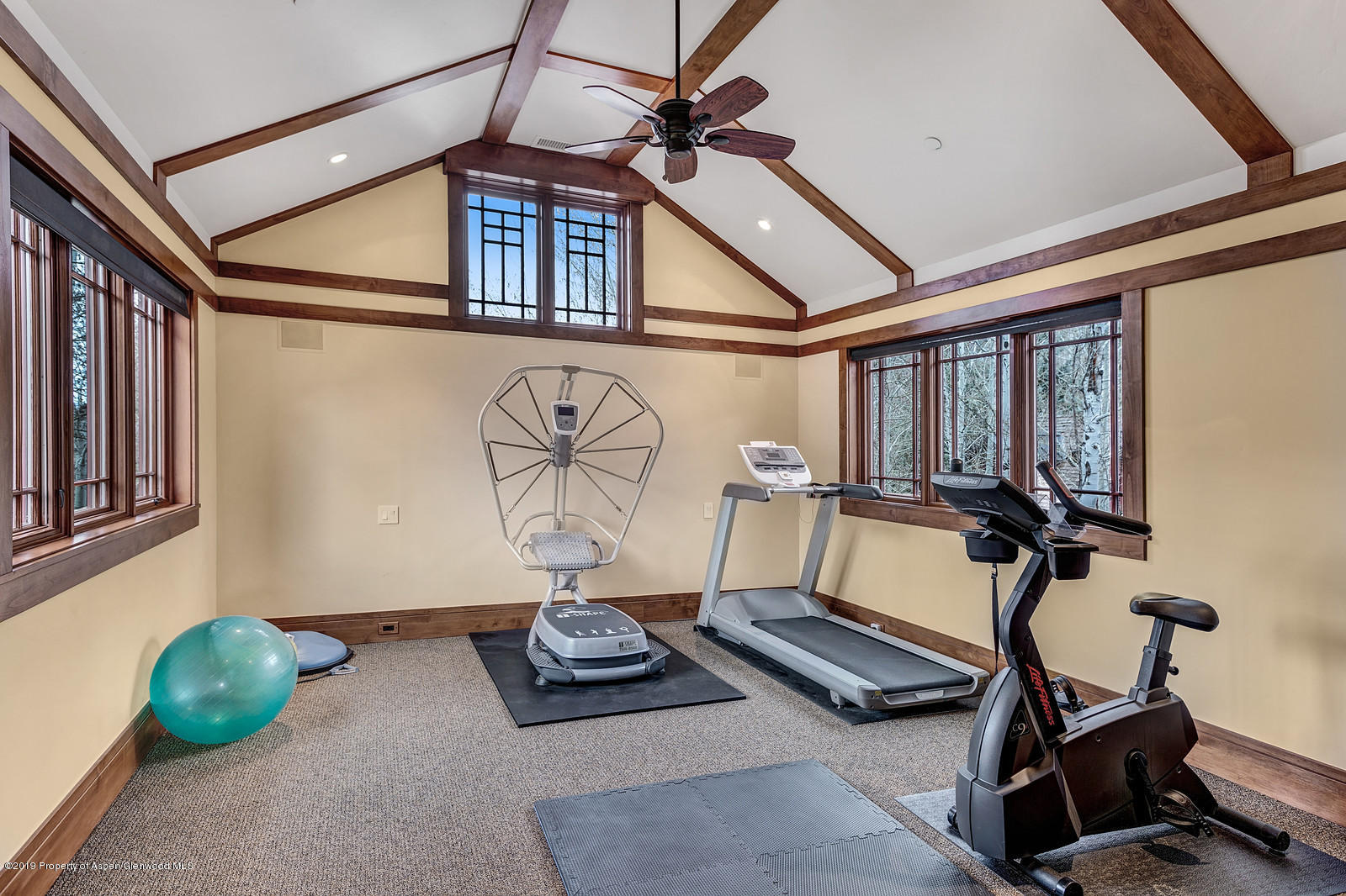 340 River's Bend Carbondale, CO 81623 - Photo 45 of 54 a room with gym equipment