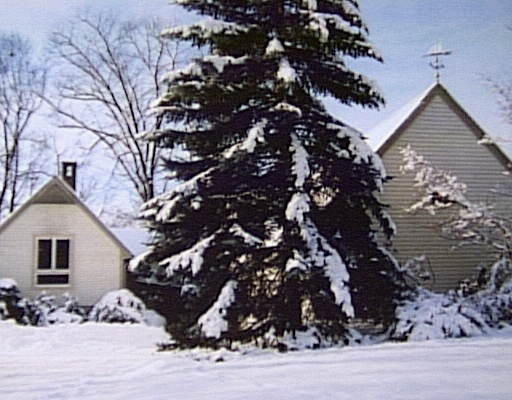 5 Oak Meadow Road Lincoln, MA 01773 - Photo 1 of 1 a picture of a tree