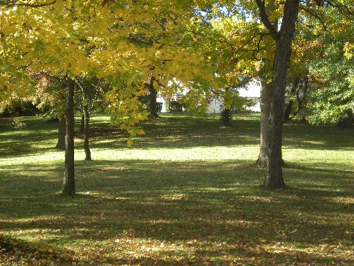 11660 German Church Road Burr Ridge, IL 60527 - Photo 6 of 11 a view of an ocean from a yard