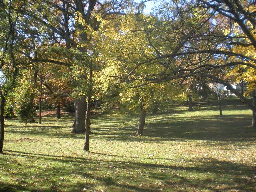 11660 German Church Road Burr Ridge, IL 60527 - Photo 7 of 11 a view of a lake view