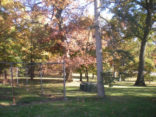 11660 German Church Road Burr Ridge, IL 60527 - Photo 10 of 11 a garden with trees