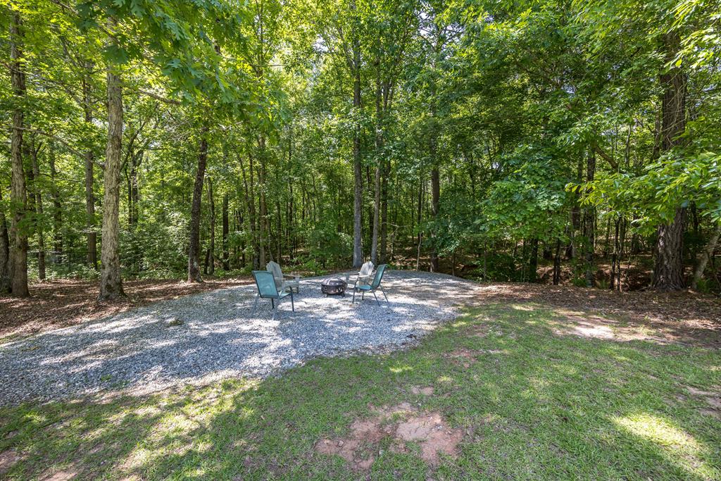 12225 County Line Road Midland, GA 31820 - Photo 57 of 66 Gallery Image 57