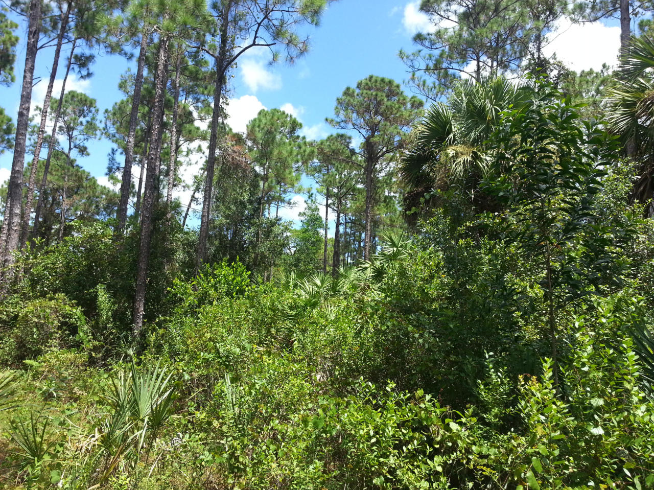 C-124 154th Road North Jupiter, FL 33478 - Photo 2 of 4 Additional Photo