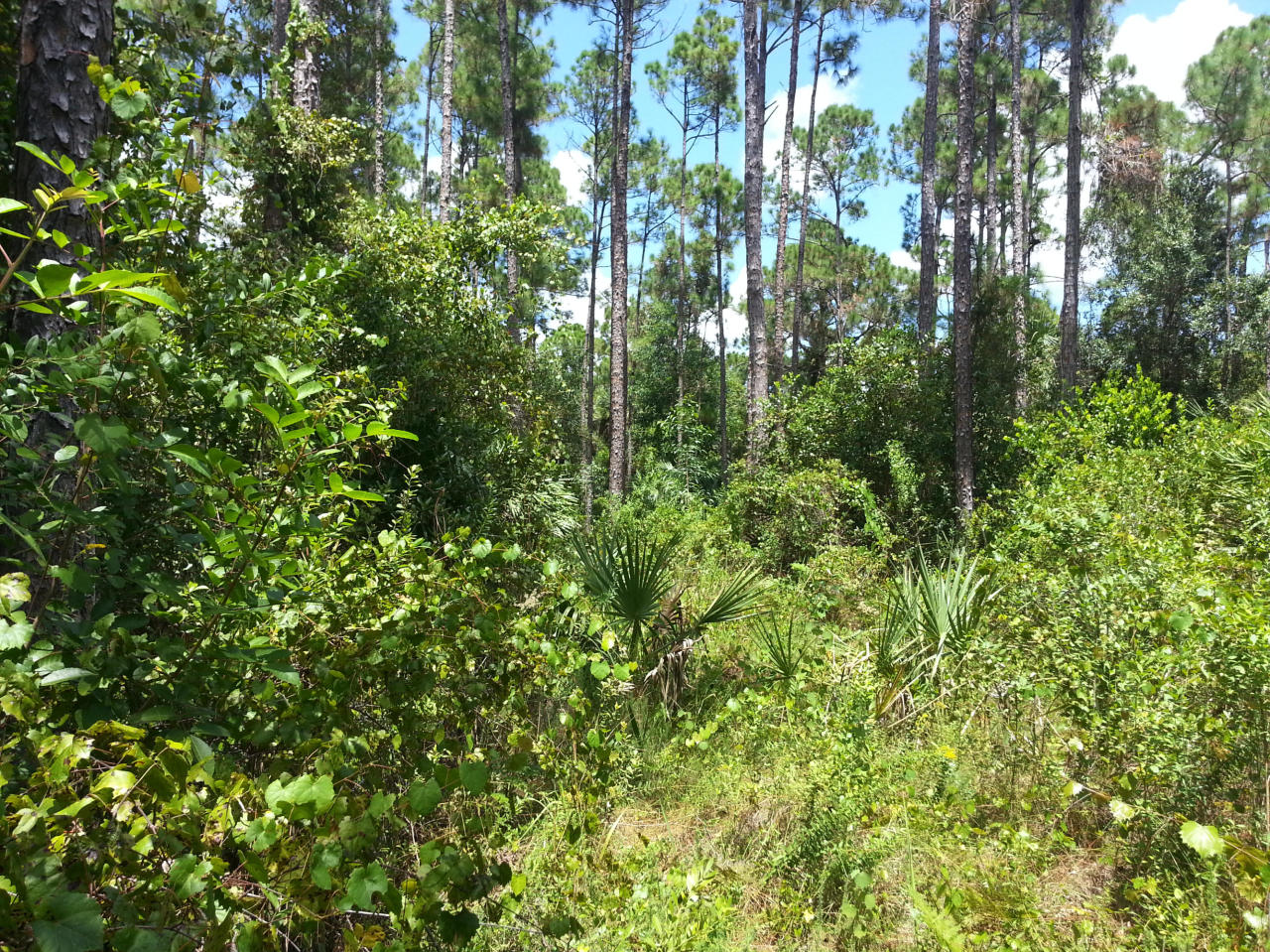 C-124 154th Road North Jupiter, FL 33478 - Photo 3 of 4 Additional Photo
