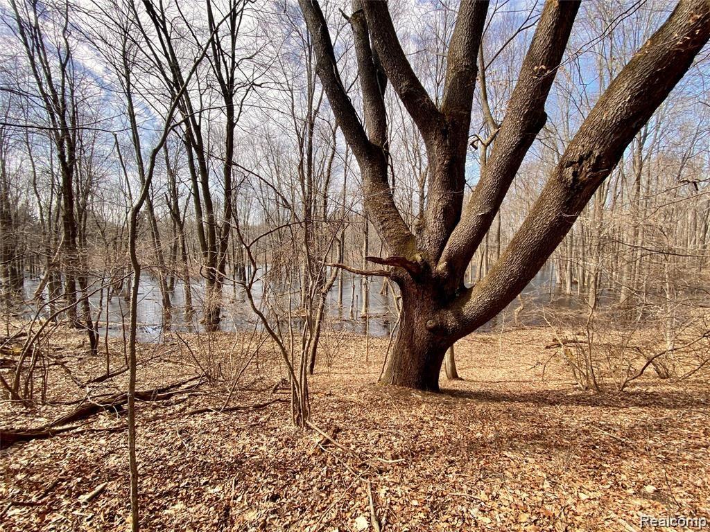 0 Iosco Road Webberville, MI 48892 - Photo 21 of 24