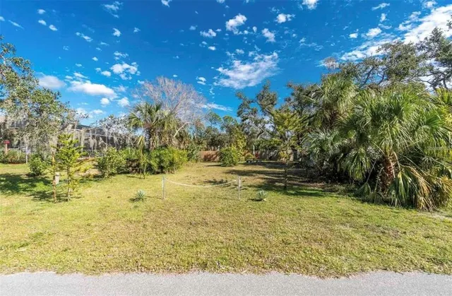a view of yard with trees