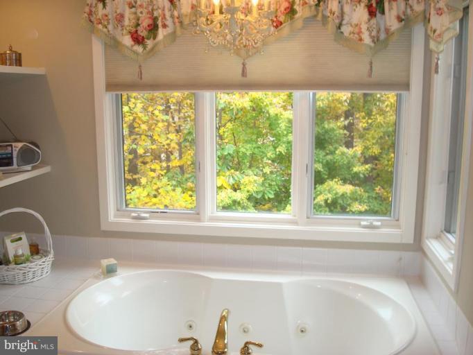 11526 Hemingway Drive Reston, VA 20194 - Photo 16 of 30 Master Bath #2