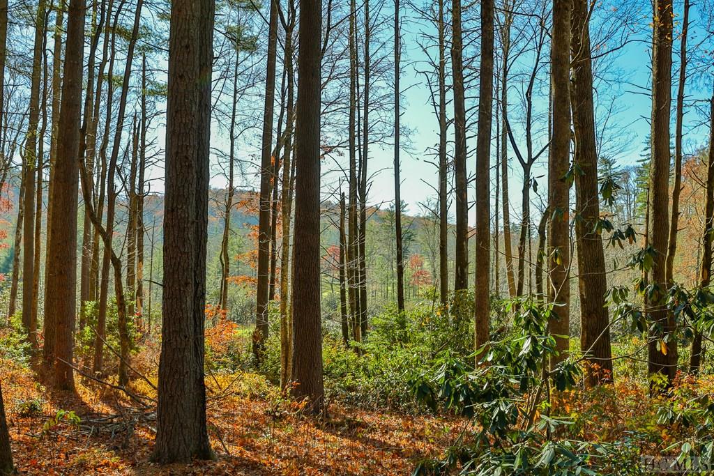 80 Flagstone Road Sapphire, NC 28774 - Photo 6 of 10 Gallery Image 6