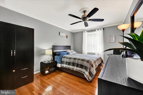 a living room with a bed furniture and a window